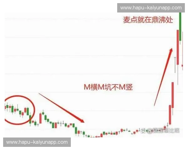 绝地博弈：牛熊之间的财富迷局与生存法则